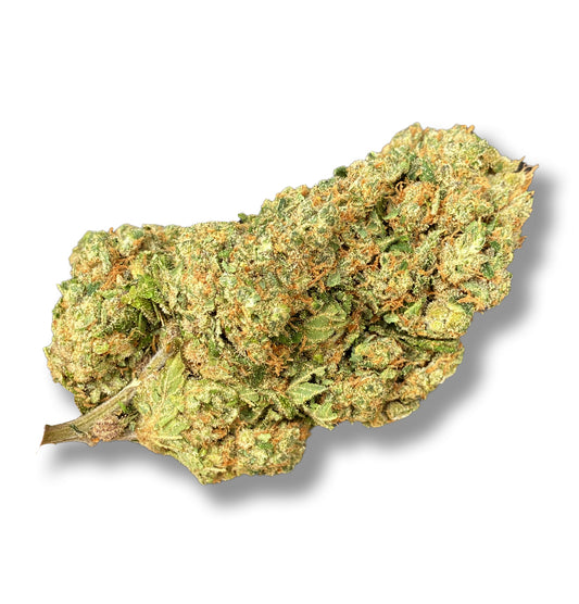 Gorilla Glue INDOOR TOP