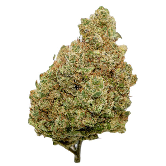 Northern Light INDOOR TOP