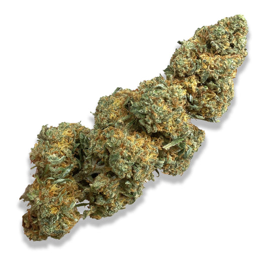 White Widow INDOOR TOP