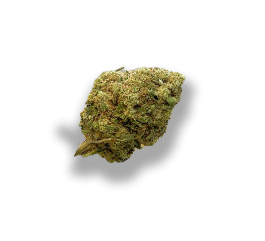Orange Bud INDOOR TOP